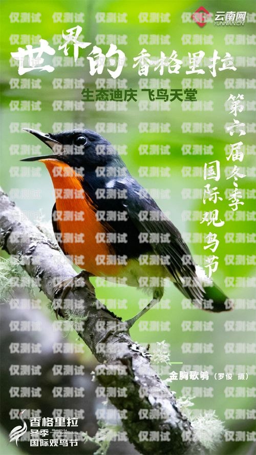 訓(xùn)鳥外呼系統(tǒng)，助力鳥類訓(xùn)練的創(chuàng)新工具飛鳥外呼