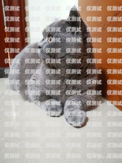 藍(lán)貓電銷卡可靠嗎？知乎上的真實(shí)評價與解答藍(lán)貓電銷卡可靠嗎知乎