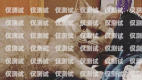 藍(lán)貓電銷卡可靠嗎？知乎上的真實(shí)評價與解答藍(lán)貓電銷卡可靠嗎知乎