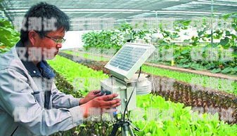 農(nóng)用電話機(jī)器人——高效農(nóng)業(yè)的新助手農(nóng)用電話機(jī)器人怎么用的