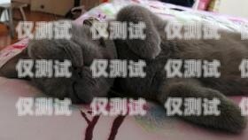 揭秘西安藍(lán)貓電銷卡——合法與風(fēng)險并存的銷售利器西安藍(lán)貓電銷卡怎么辦理