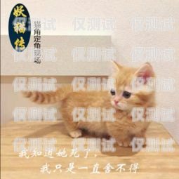 揭秘西安藍(lán)貓電銷卡——合法與風(fēng)險并存的銷售利器西安藍(lán)貓電銷卡怎么辦理