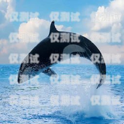 探索虎鯨外呼系統(tǒng)，提升客戶溝通的創(chuàng)新解決方案虎鯨怎么呼叫不出來