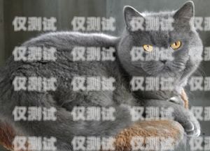 藍(lán)貓電銷卡全名及相關(guān)信息藍(lán)貓電銷卡全名叫什么