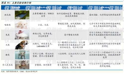 白名單電銷卡——免實(shí)的銷售利器白名單電銷卡怎么辦理