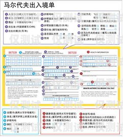 電銷卡套餐選擇指南，如何找到最適合你的方案如何選擇電銷卡套餐類型呢