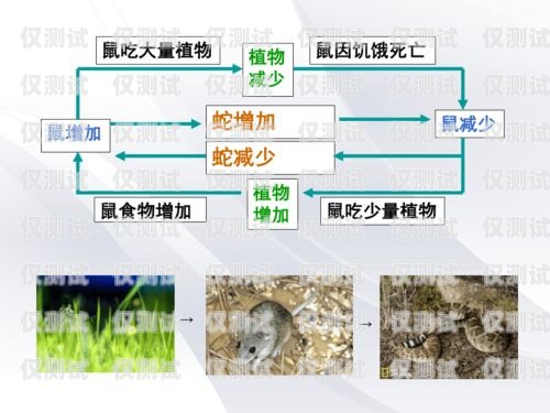 沈陽外呼系統(tǒng)穩(wěn)定嗎？沈陽外呼公司
