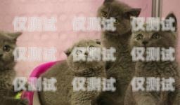 揭秘?zé)o錫藍貓電銷卡——合法合規(guī)的電銷神器無錫藍貓電銷卡怎么辦理