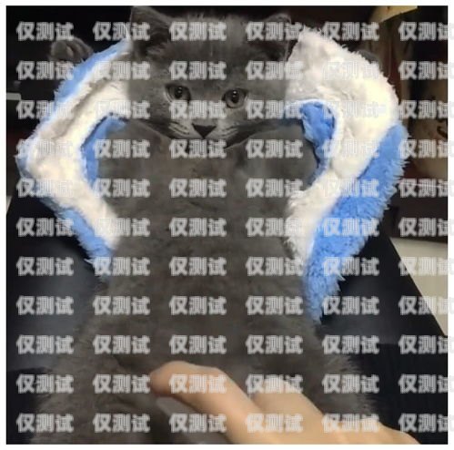 揭秘?zé)o錫藍貓電銷卡——合法合規(guī)的電銷神器無錫藍貓電銷卡怎么辦理