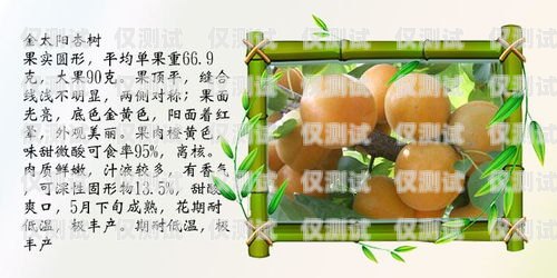 貴陽銷售外呼系統(tǒng)報價指南貴陽外呼公司有哪些