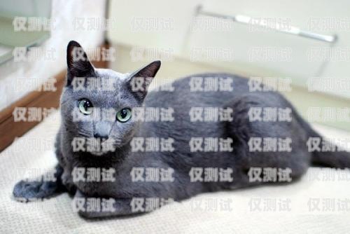藍(lán)貓電銷卡激活要錢嗎？多少錢？藍(lán)貓電銷卡激活要錢嗎多少錢一張