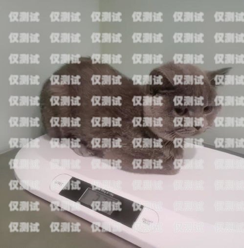 藍(lán)貓電銷卡激活要錢嗎？藍(lán)貓電銷卡激活要錢嗎安全嗎