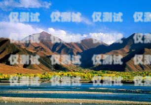 拉薩穩(wěn)定外呼系統(tǒng)的可靠之選