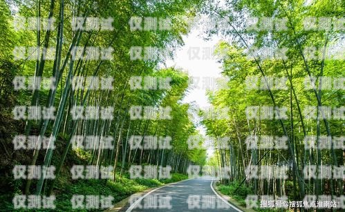瀘水電話外呼銷售系統(tǒng)——提升銷售效率的利器