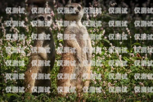 長沙銷售外呼系統(tǒng)價格外呼系統(tǒng)銷售好做嗎