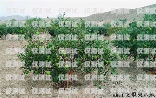 百應電銷機器人哪個好？如何選擇最適合你的電銷機器人百應電銷機器人好用嗎