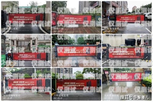 常州斑馬外呼系統(tǒng)，提升銷售效率的利器常州斑馬智能科技有限公司