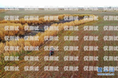阿勒泰外呼系統(tǒng)型號推薦阿勒泰 6635