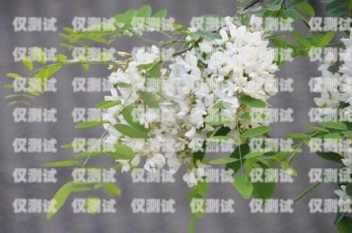 四川外呼系統(tǒng)費(fèi)用多少外呼系統(tǒng)收費(fèi)標(biāo)準(zhǔn)