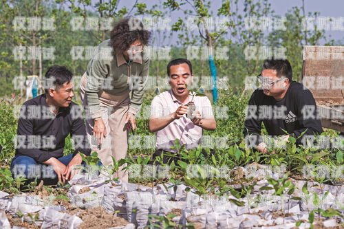 呂梁電銷機器人公司的優劣比較與選擇指南呂梁電銷機器人公司哪家好一點