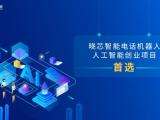 南京三網(wǎng)電話外呼機(jī)器人加盟的簡單介紹